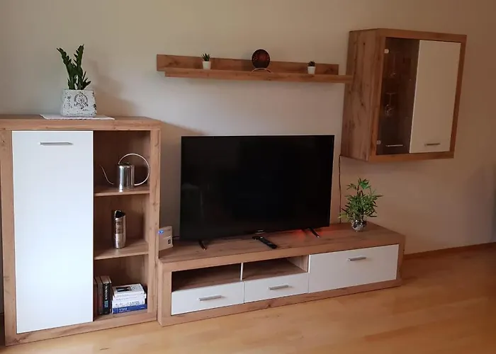 Dachsteinblick 巴特奥塞