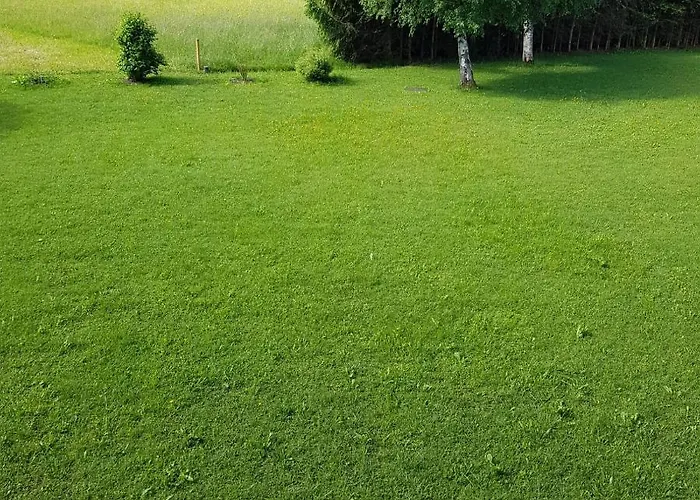 公寓 Dachsteinblick 巴特奥塞